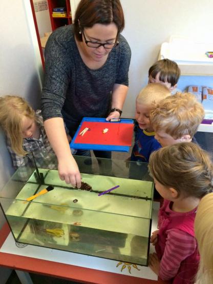 Sedan undersökte vi hur det verkligen förhöll sig genom att prova att lägga sakerna i vattnet i vårt nya akvarium.<span class=\